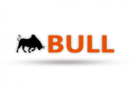 Bull