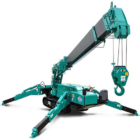 Grue arraignée